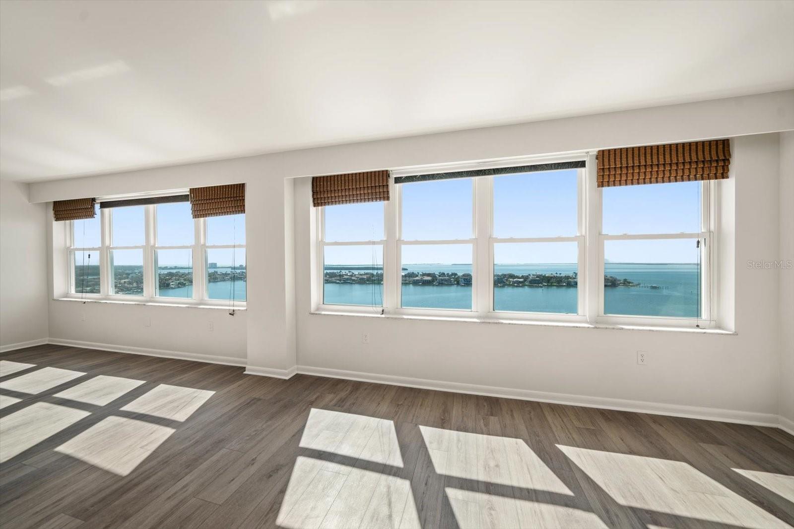 Living & Family Room Windows