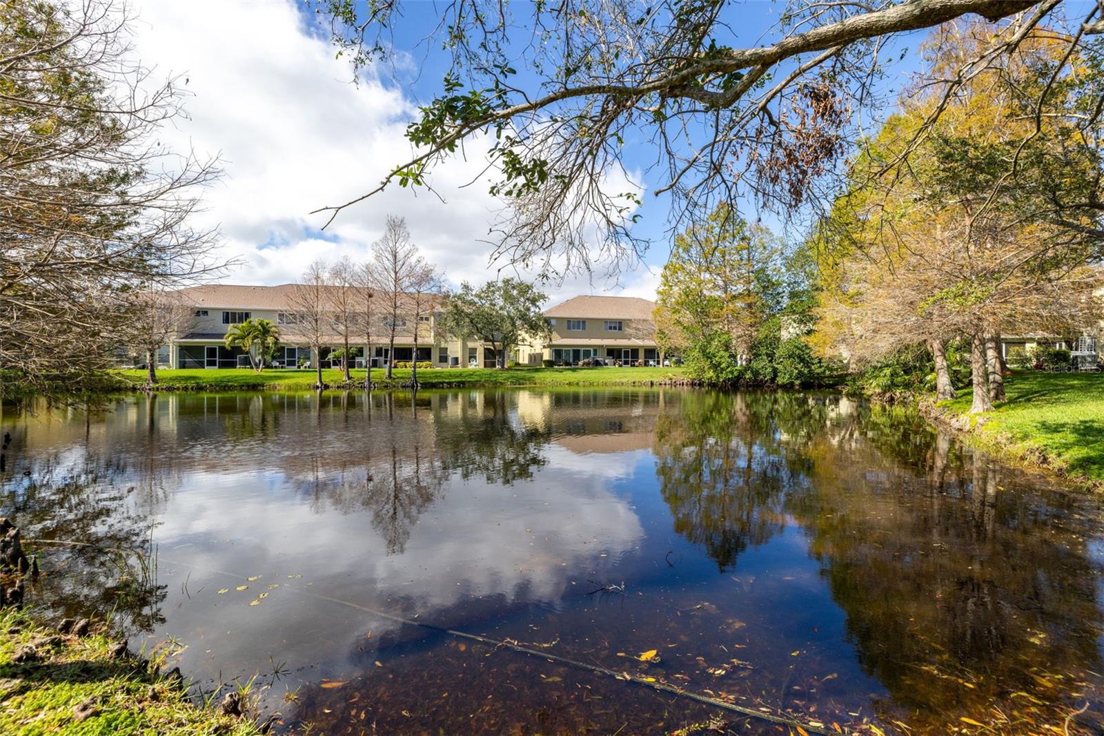 Rear lanai has serene pond view
