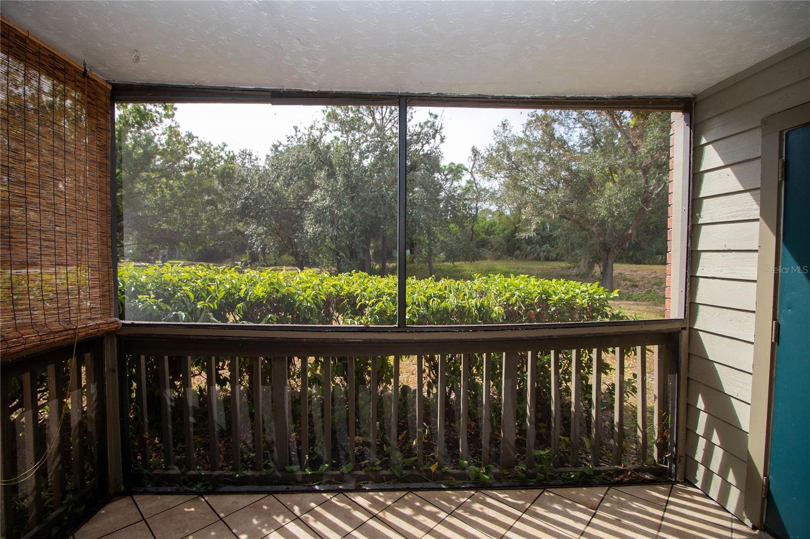 Lovely views and privacy from the hedge.