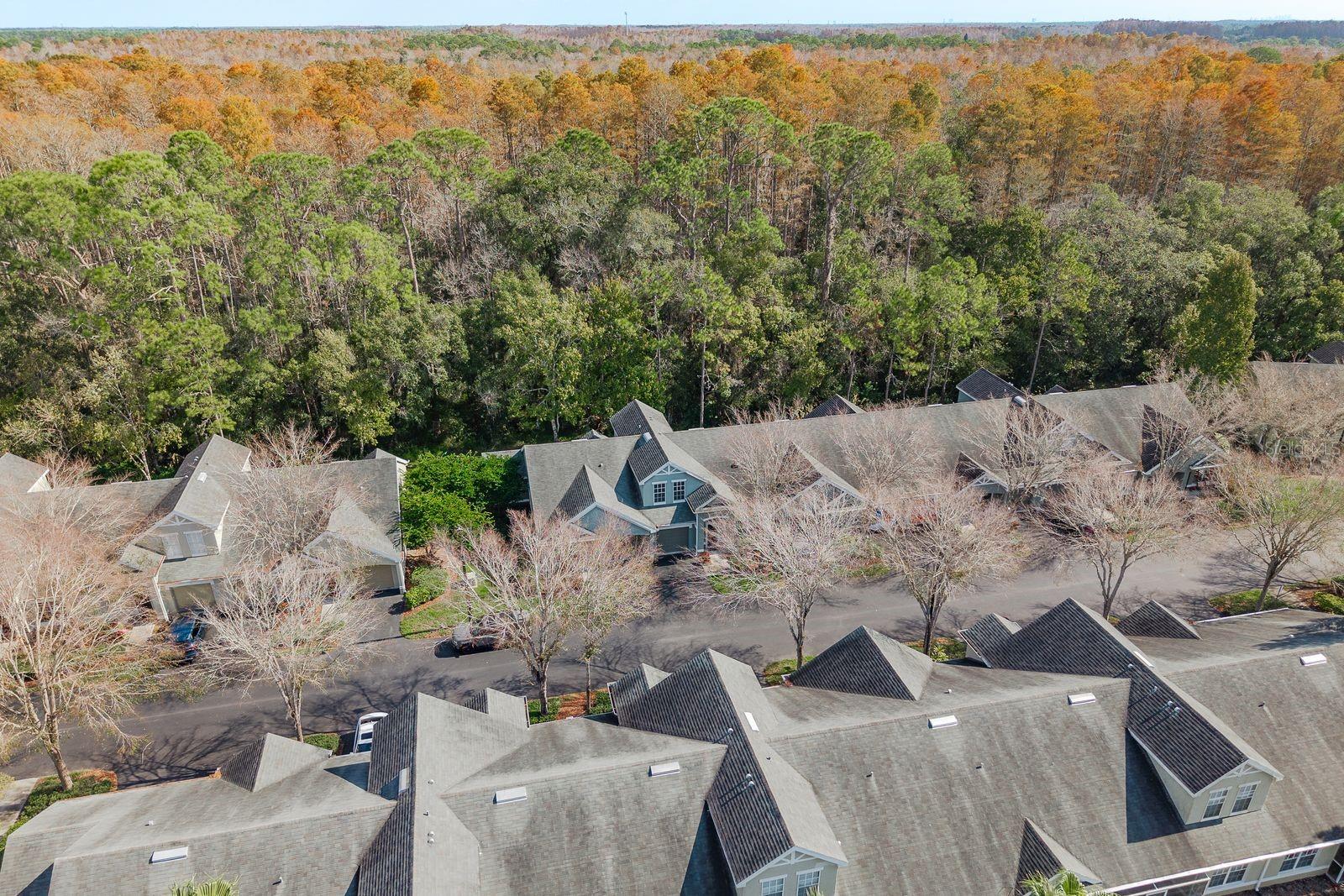 Areal View of Neighborhood