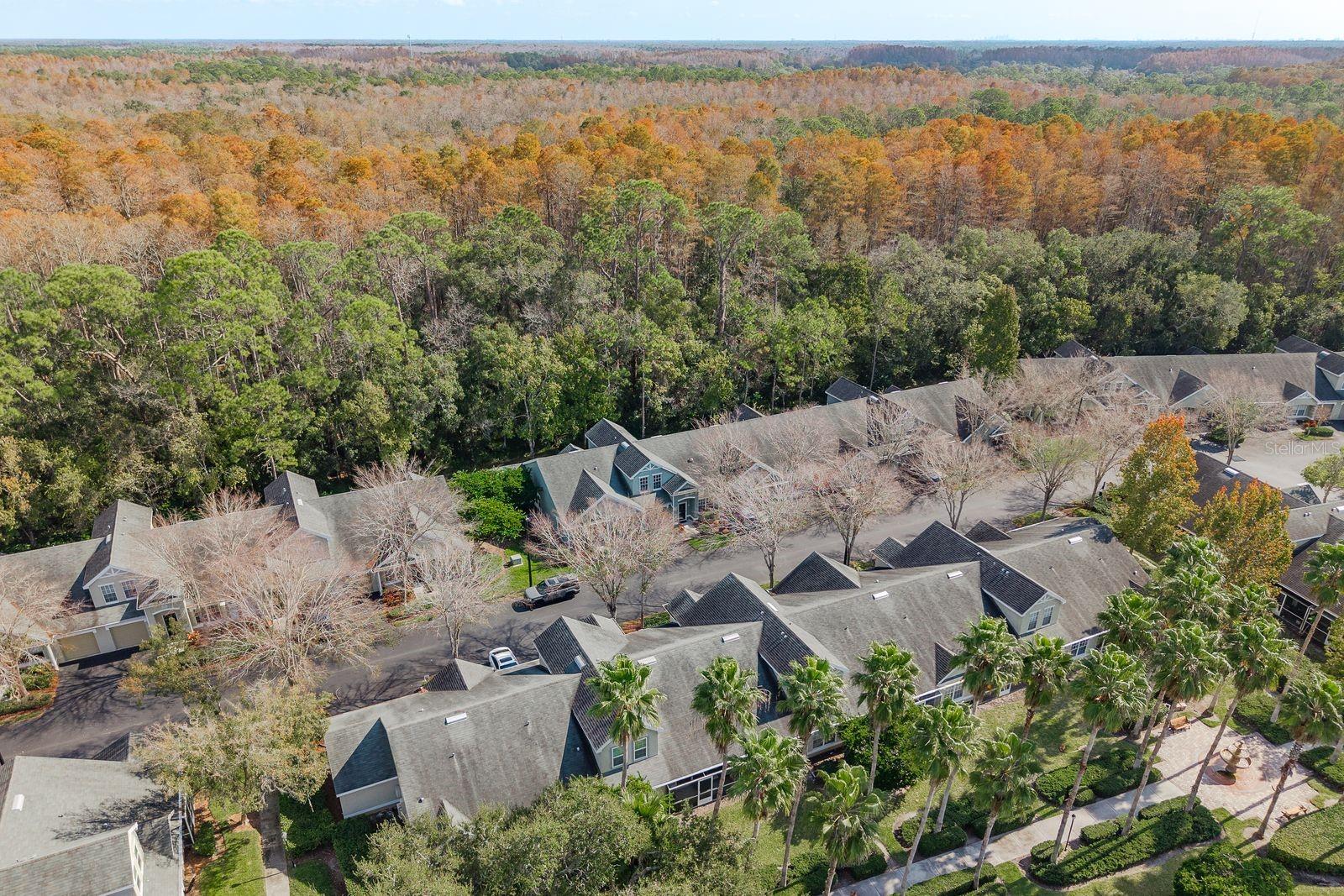 Areal View of Neighborhood
