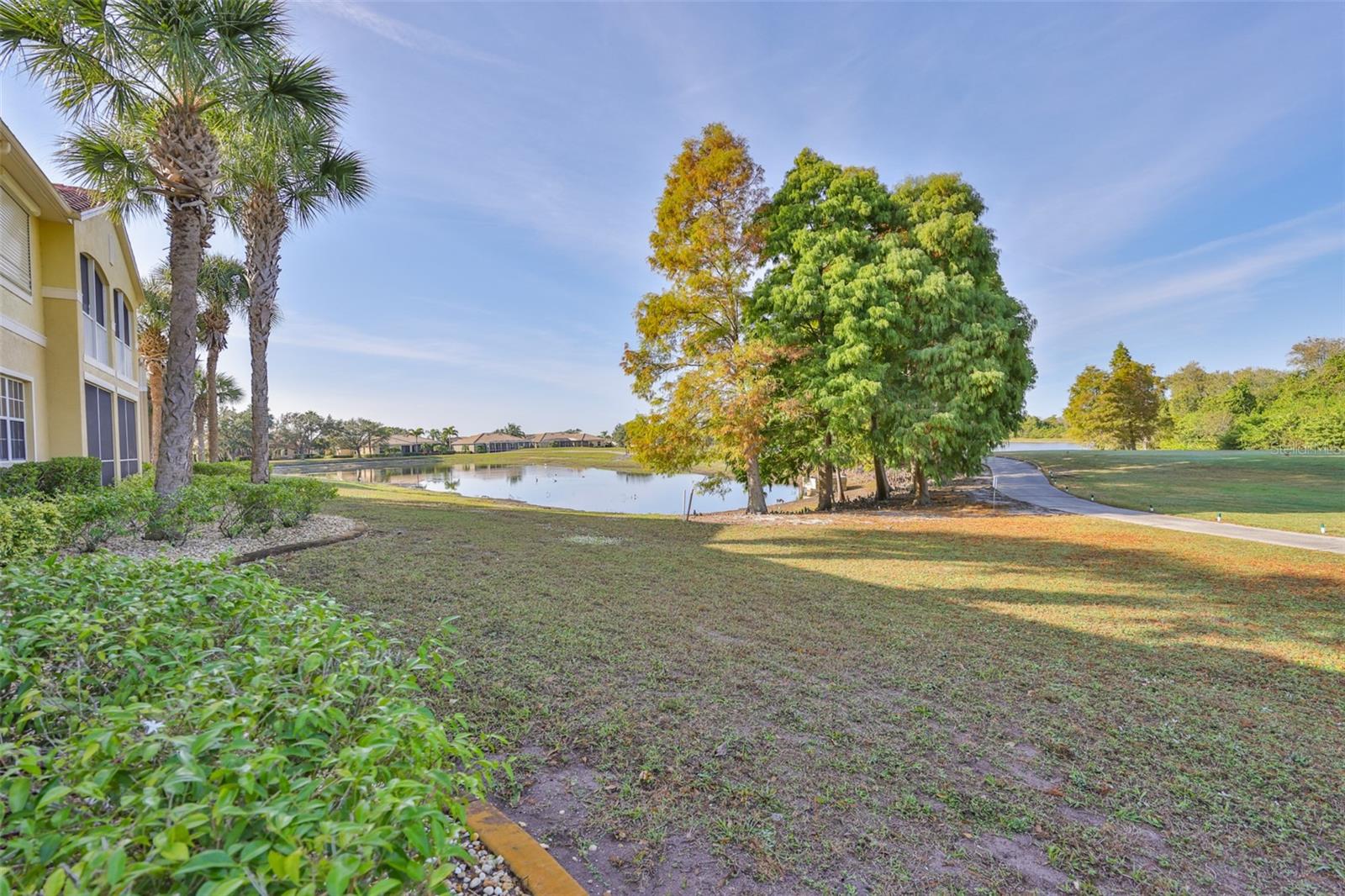 Backyard view from side of condo to the left