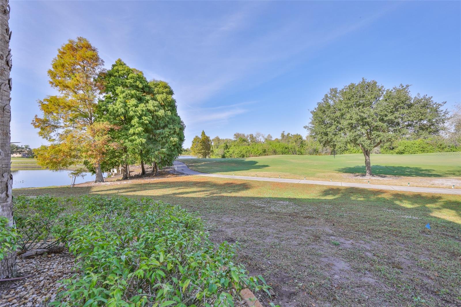 Backyard view from side of condo to the left