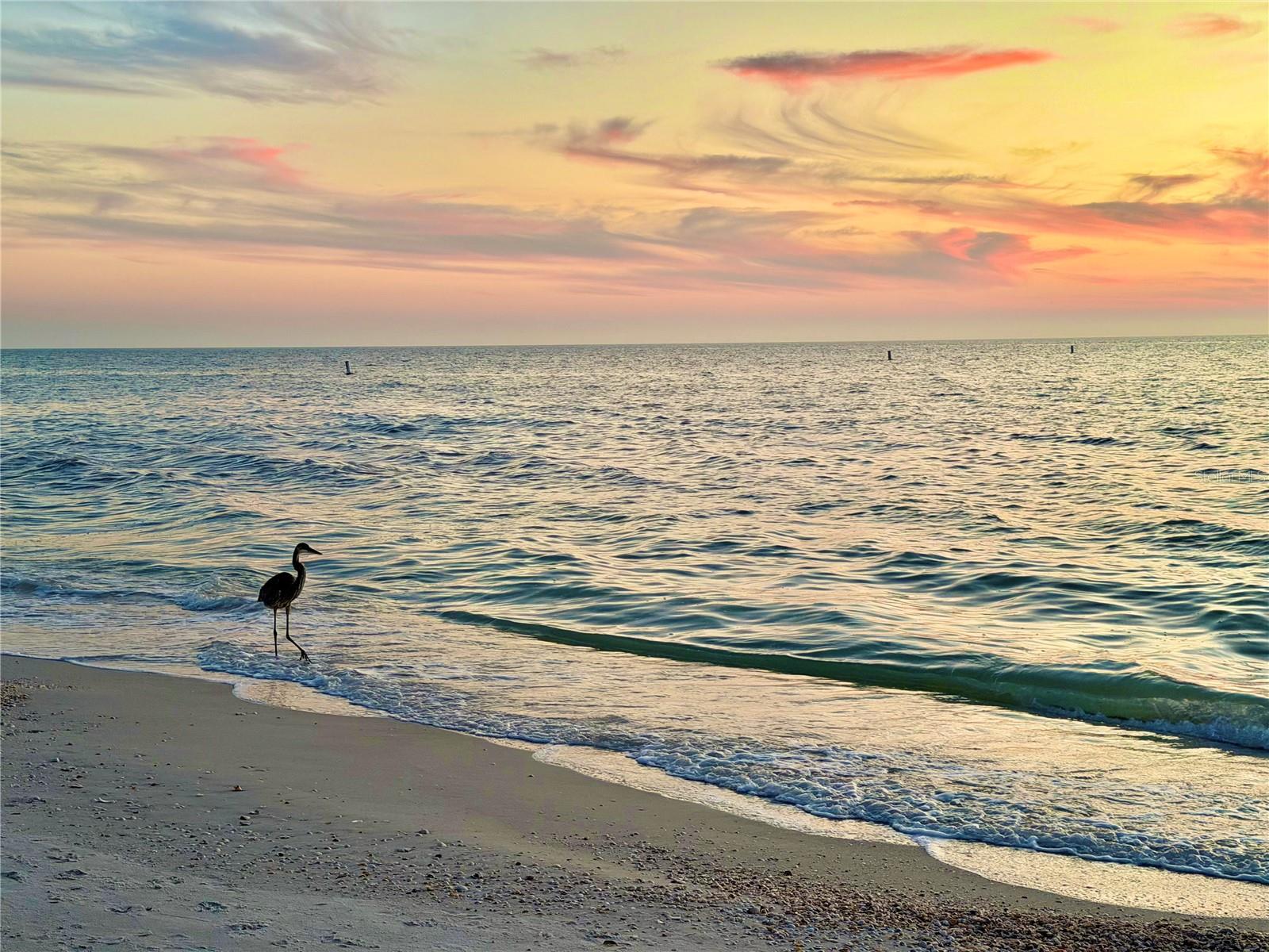 The ocean is calling!