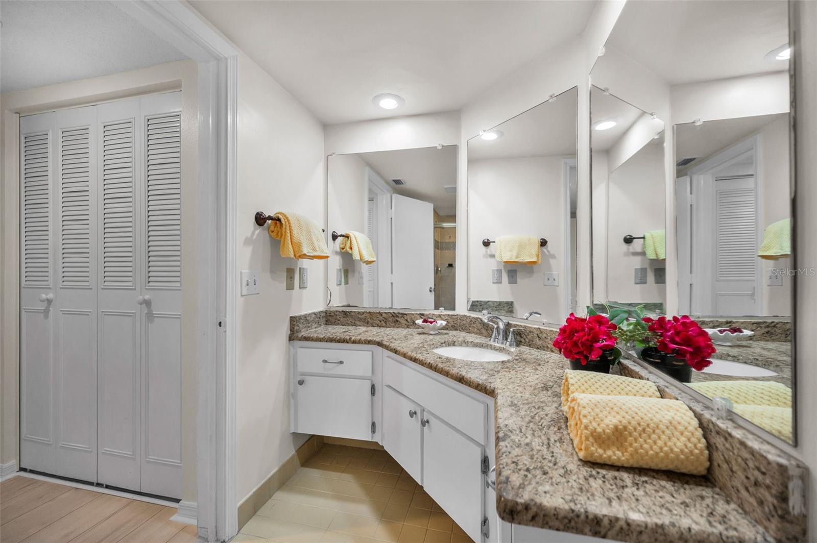 Primary ensuite Bathroom and Second Closet