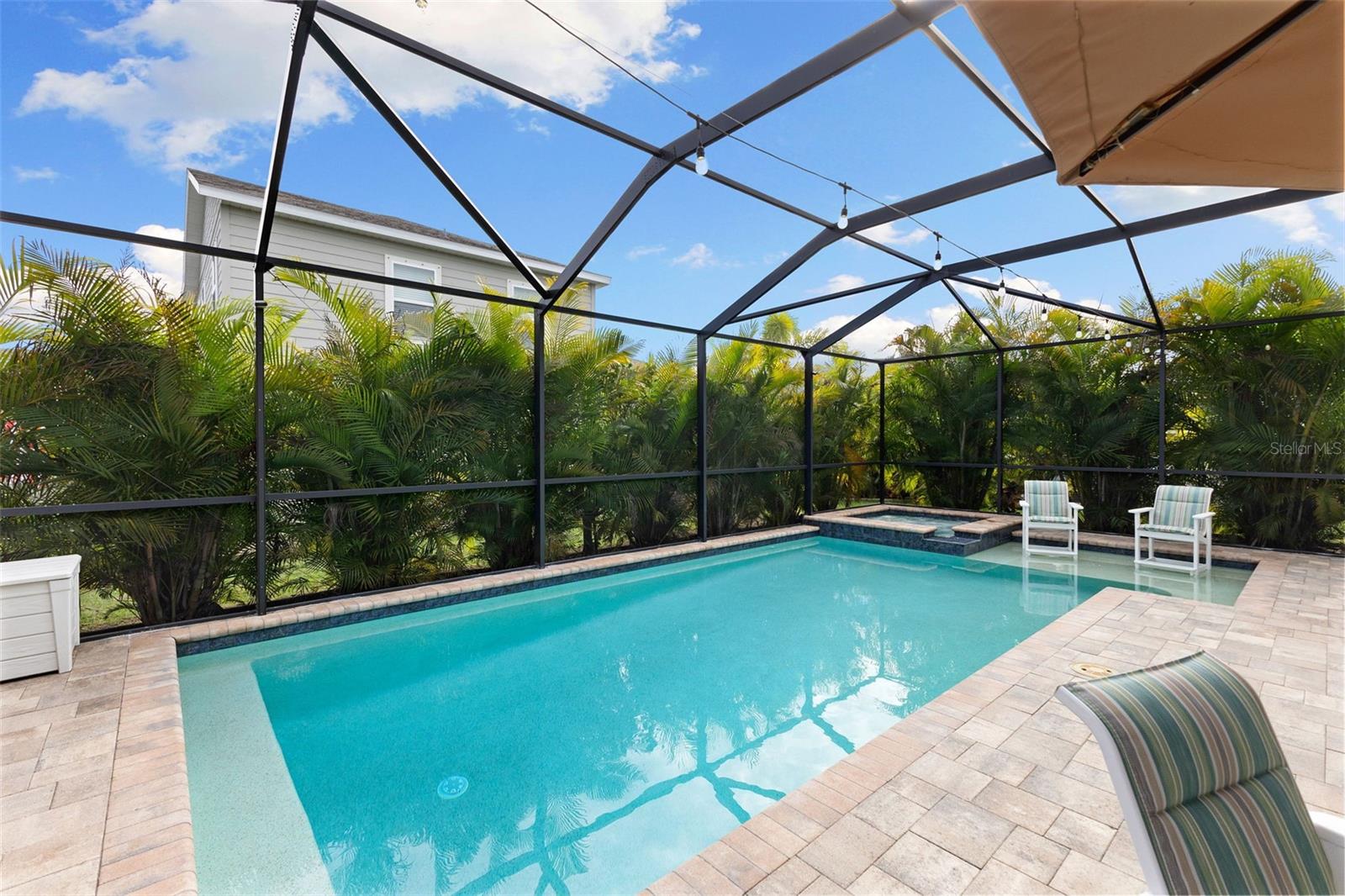 Screened lania with saltwater pool and spa surrounded by lush palms and fruit-bearing trees