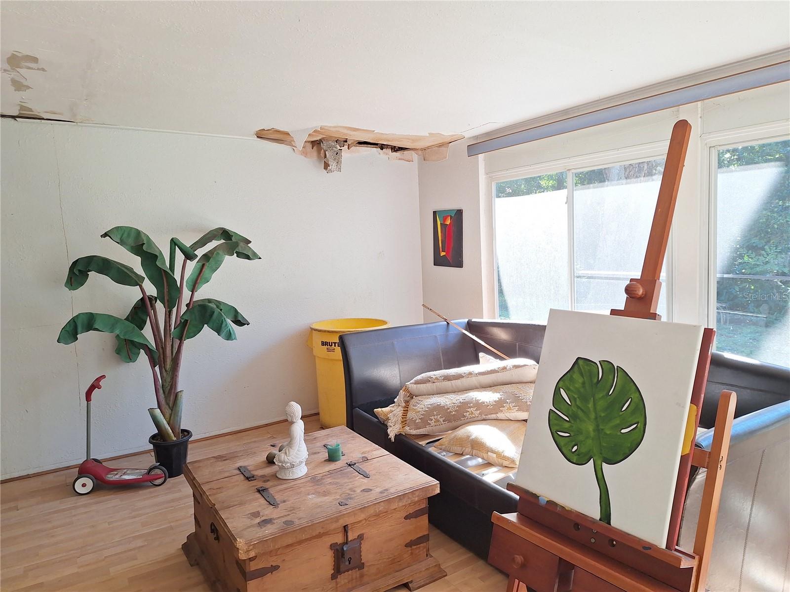 Suffered some ceiling damage in this room too