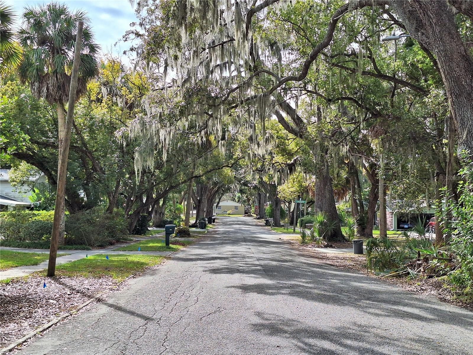This is the view down the streets in Downtown