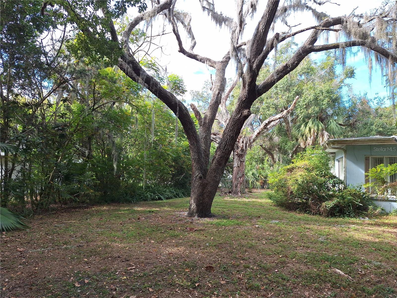 Fabulous .41 Acre Lot