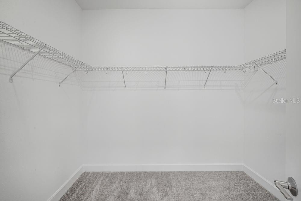 1558 Trailhead ~ Ready Now