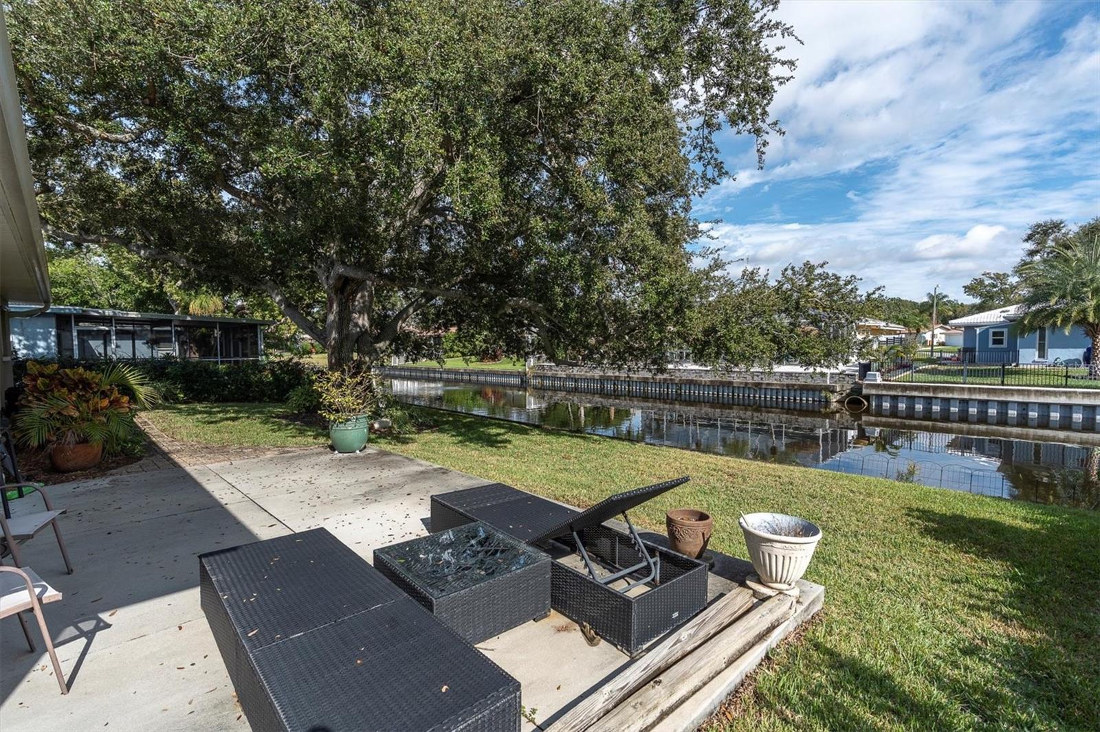 Backyard looking onto the canal from the patio