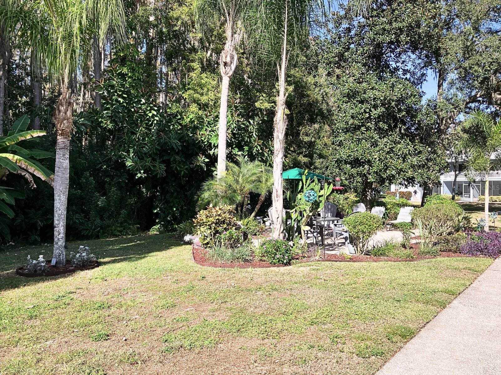 View of wooded area from porch