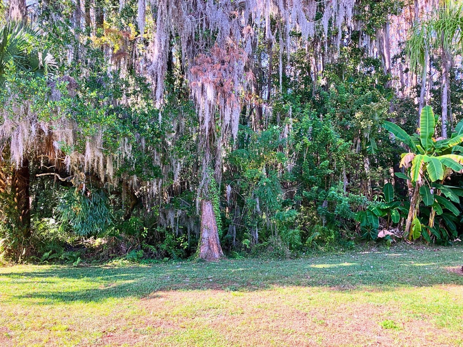 Lots of trails to walk