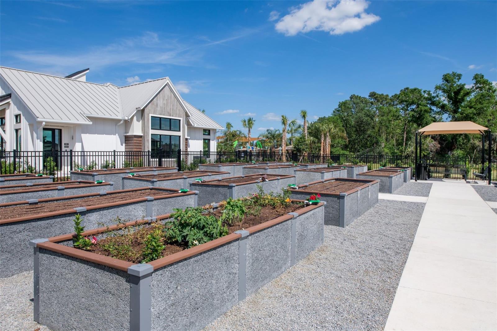 Vida’s Bloom Community Garden