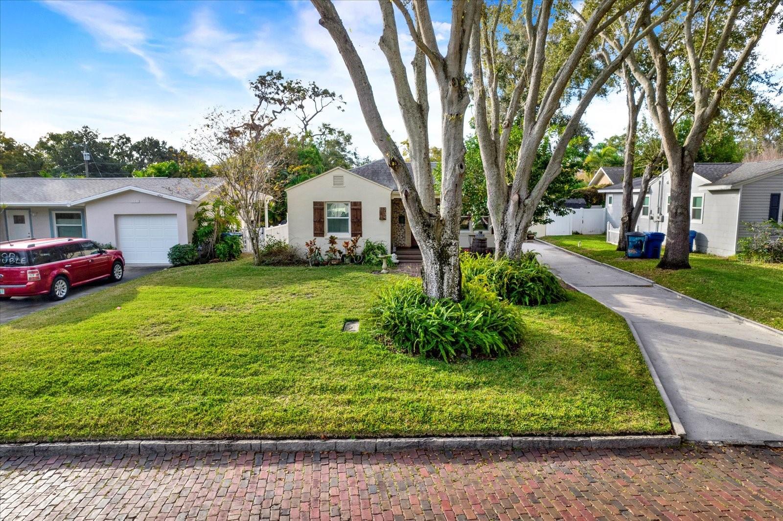 Brick Street with Towering Oak trees and a Huge Driveway