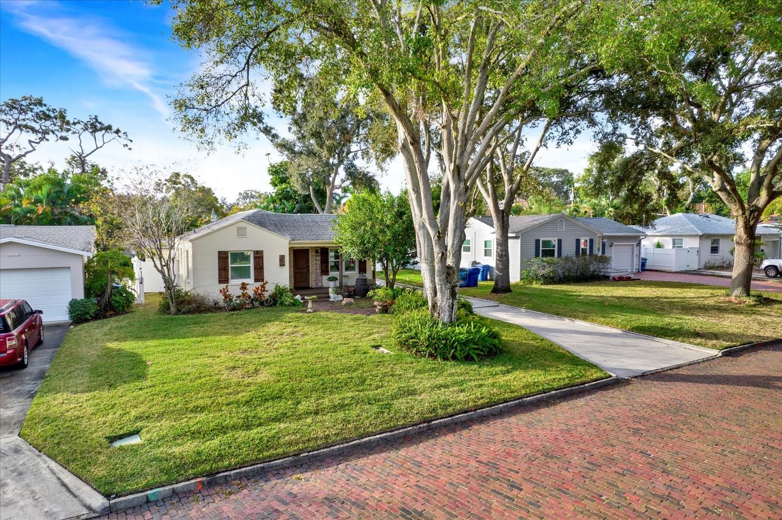 Brick Street with Towering Oak Trees and a Huge Driveway