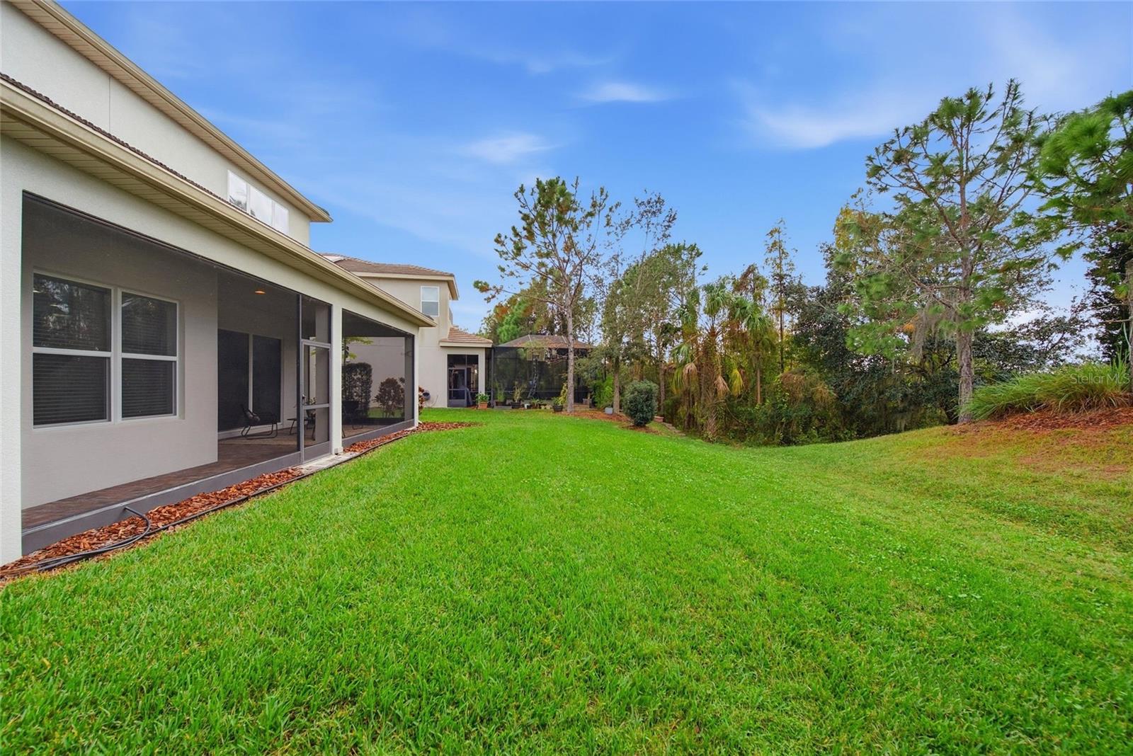 Large Backyard Space