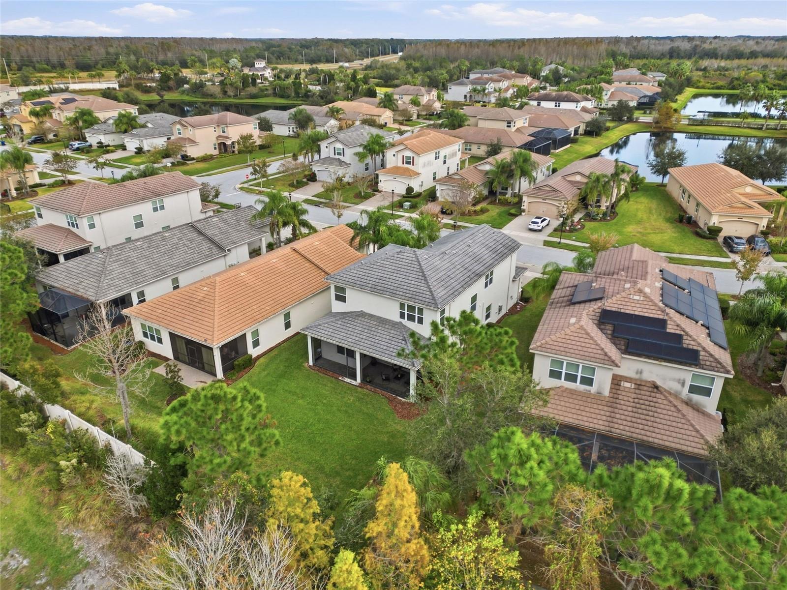 Beautiful Conservation Views