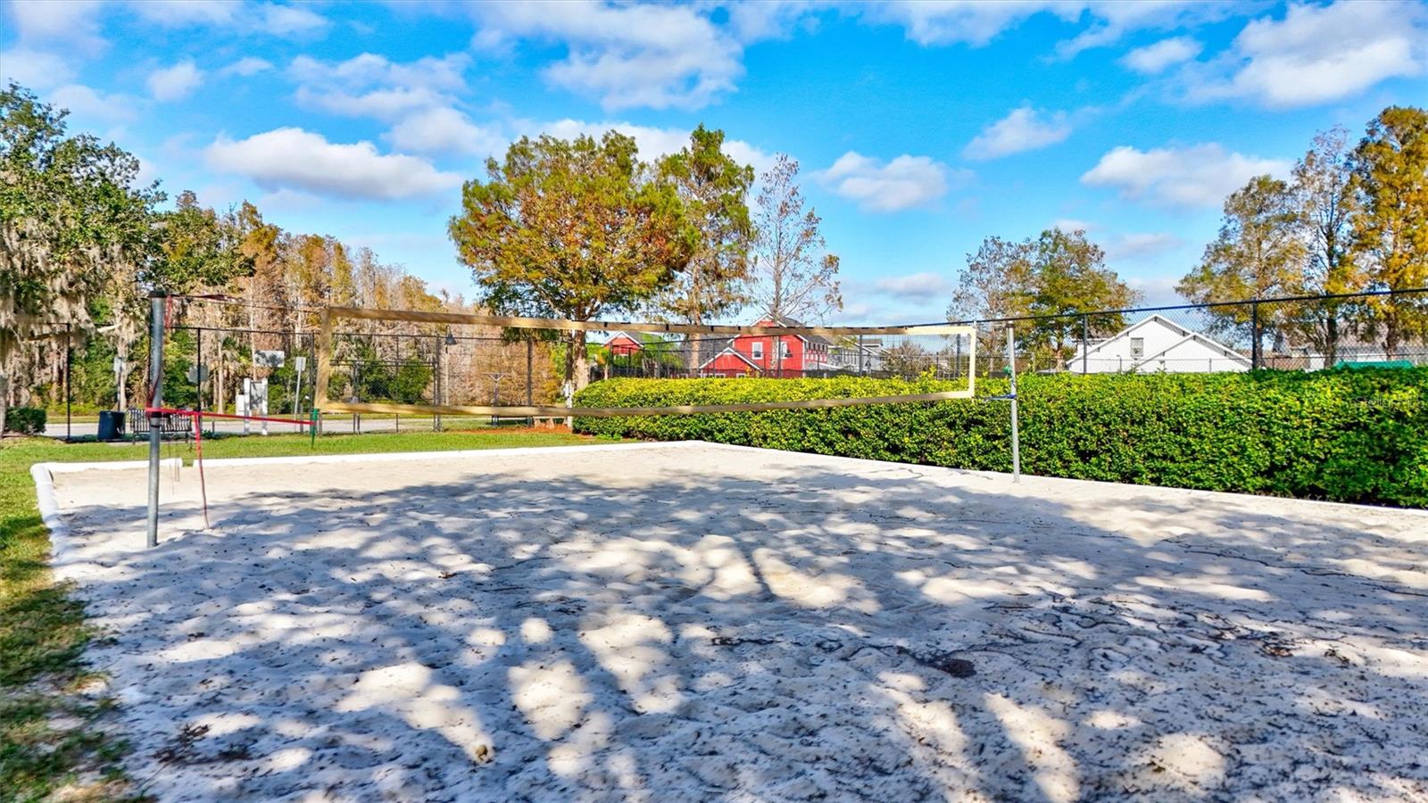 Beach Volleyball anyone?