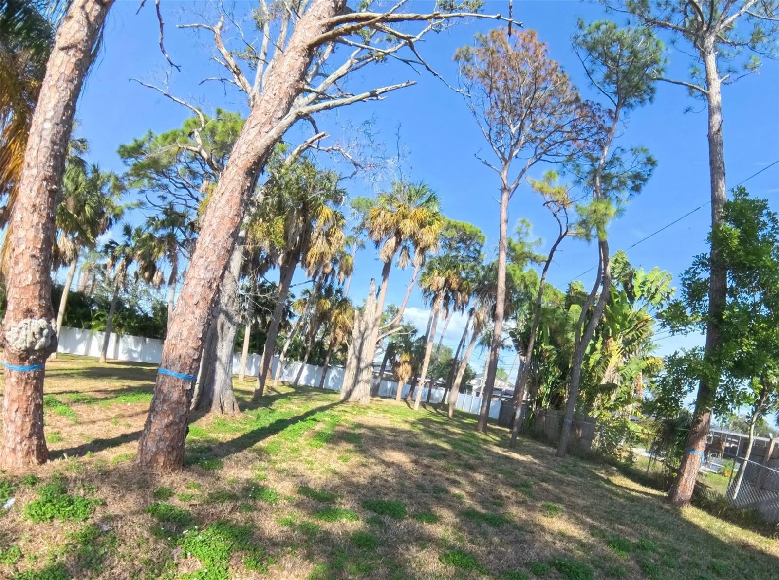 Almost 1/2 Acre lot and private backyard.