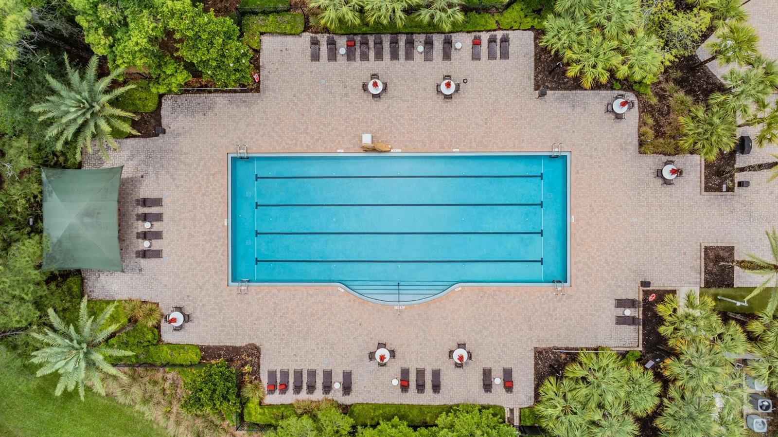 Club House and Amenities