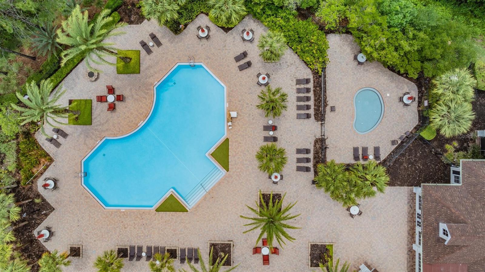 Club House and Amenities