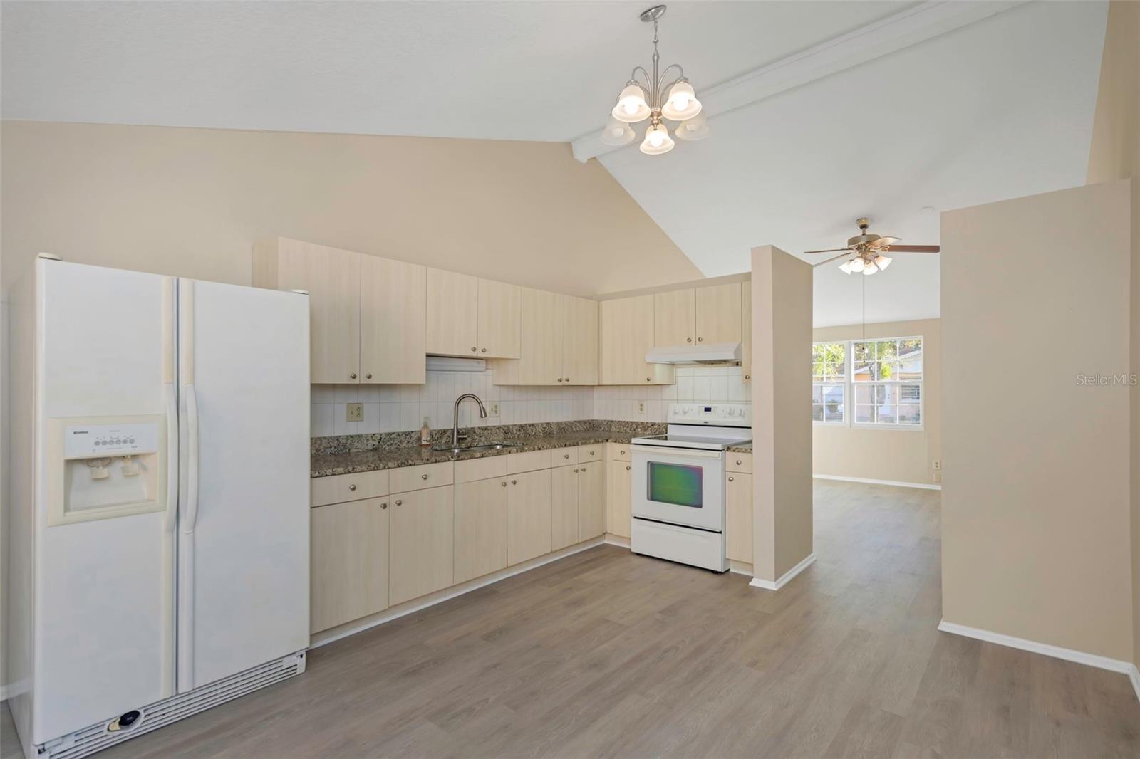 Kitchen - Right View