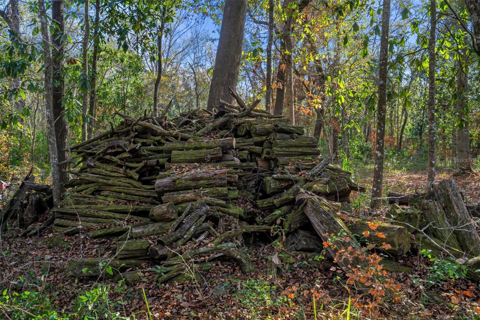 Infinite Supply of Lighter Knot