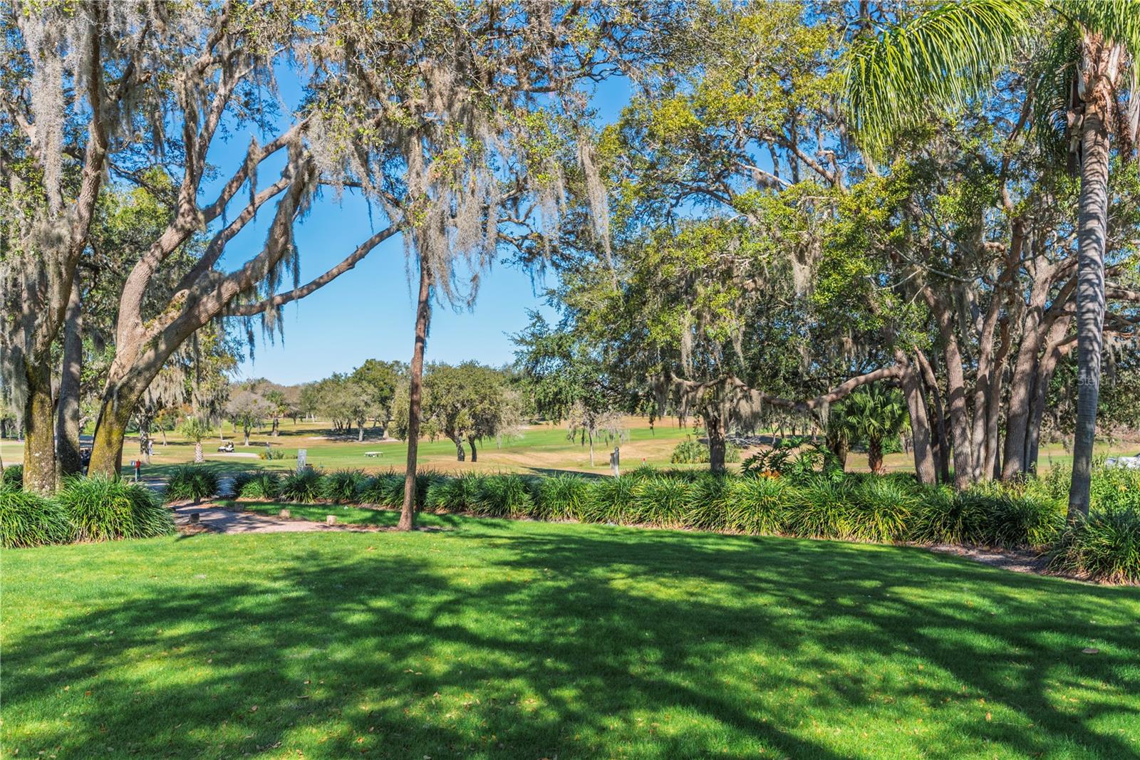 Golf course view from back yard.