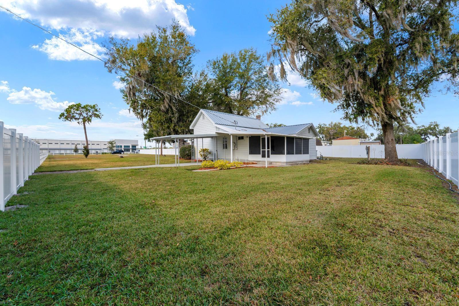 This is the SE corner of the property, and the septic tank is to the right between the camera and the tree.