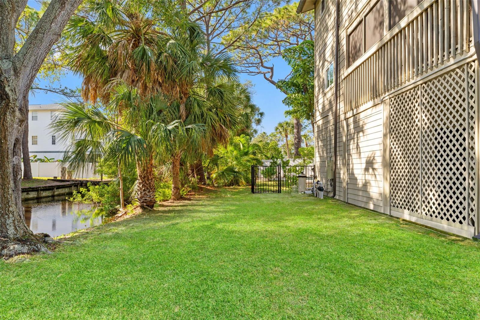 Backyard view toward the canal, surrounded by palms and mature trees for a tranquil, private feel.