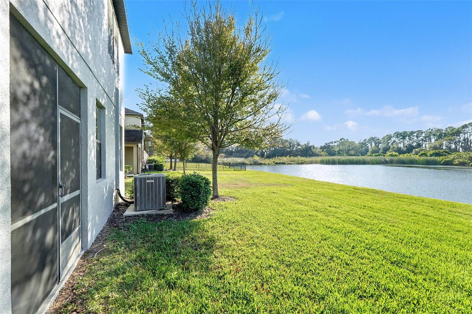 Back Yard, Pond View