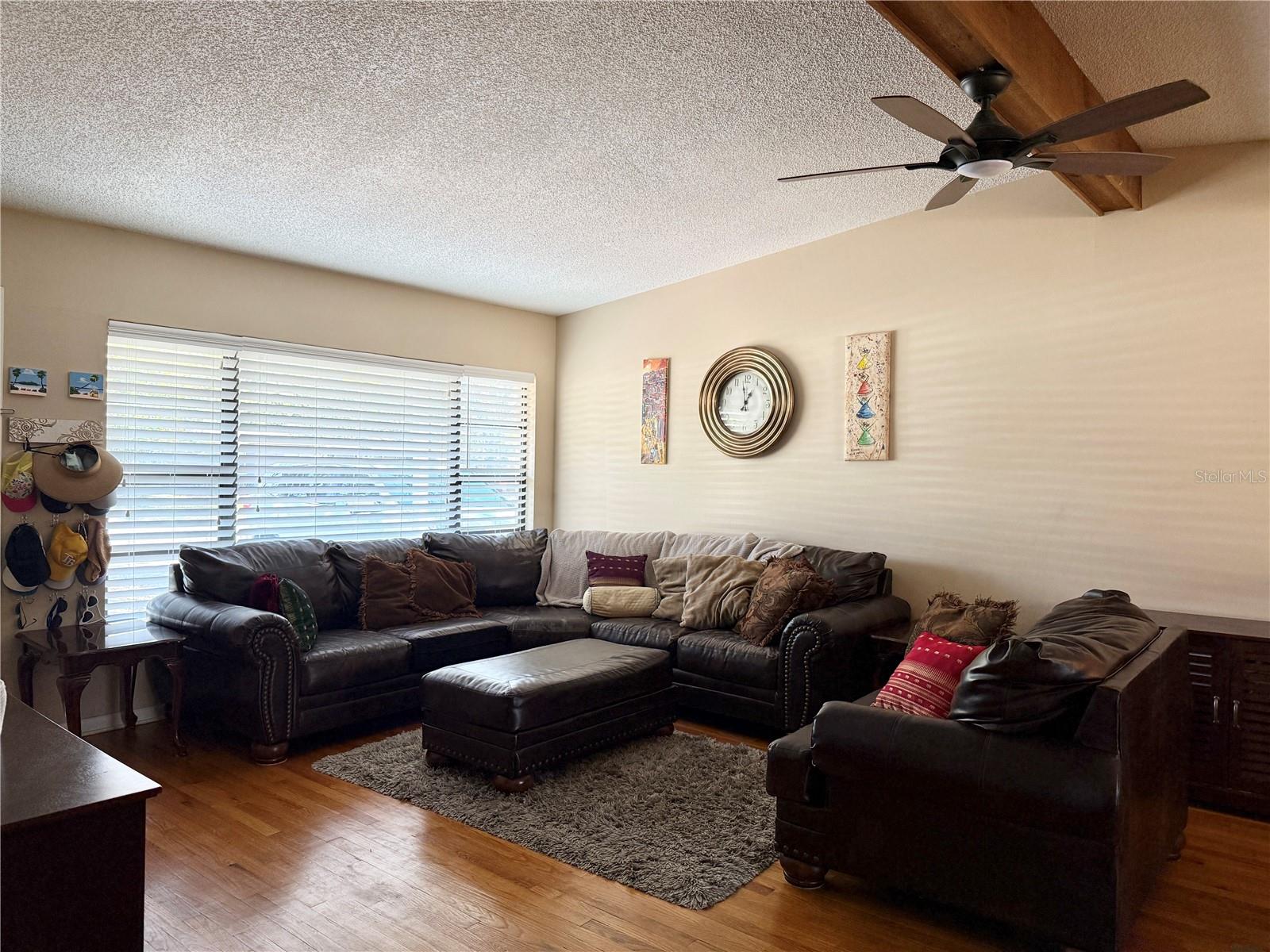 Living Area - Vaulted Ceilings