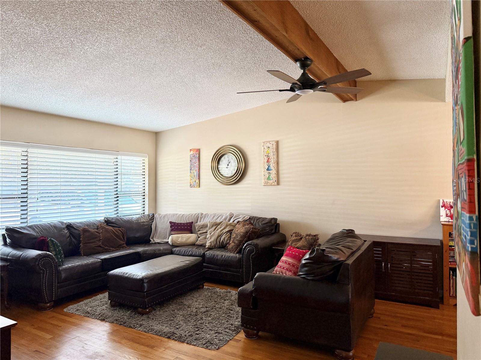 Living Area - Light and Bright