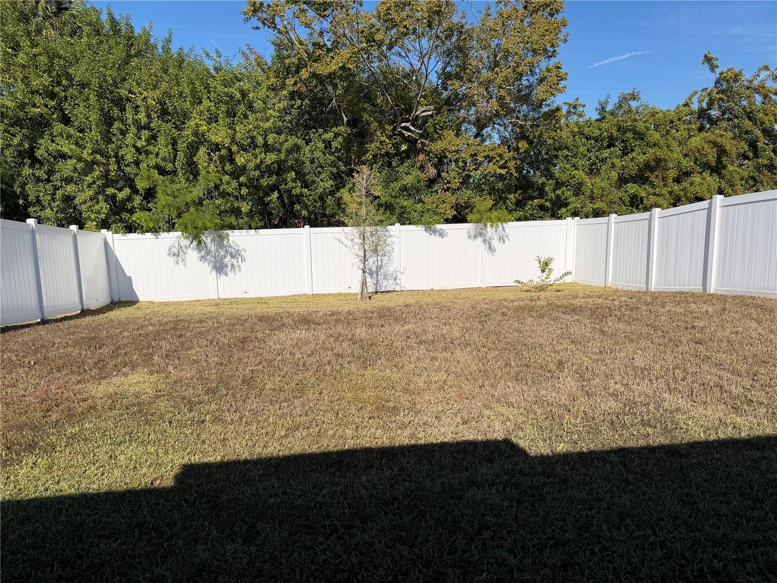 Large fenced in back yard