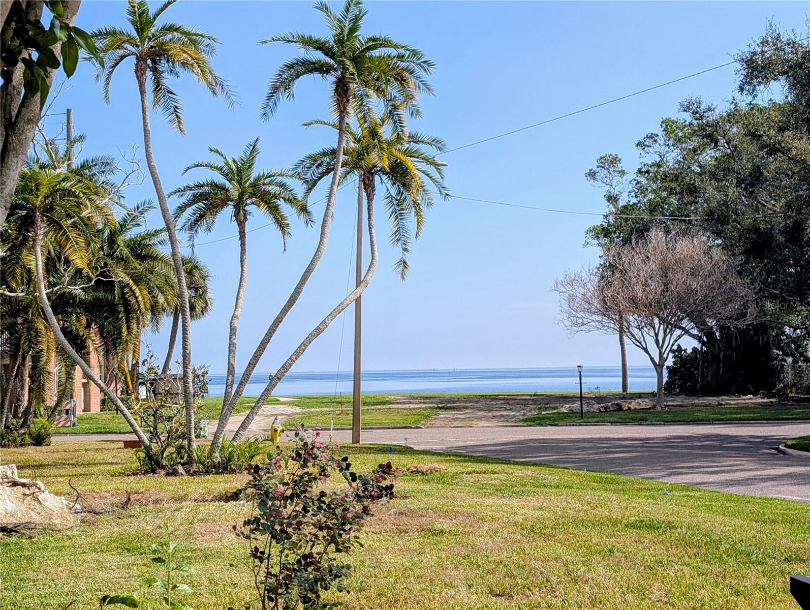 View from front right side yard