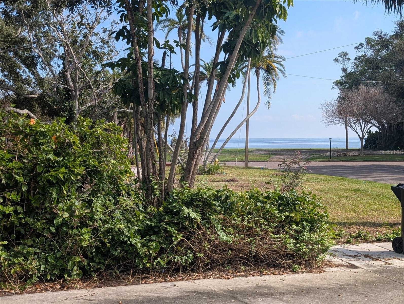 View from subject property's driveway