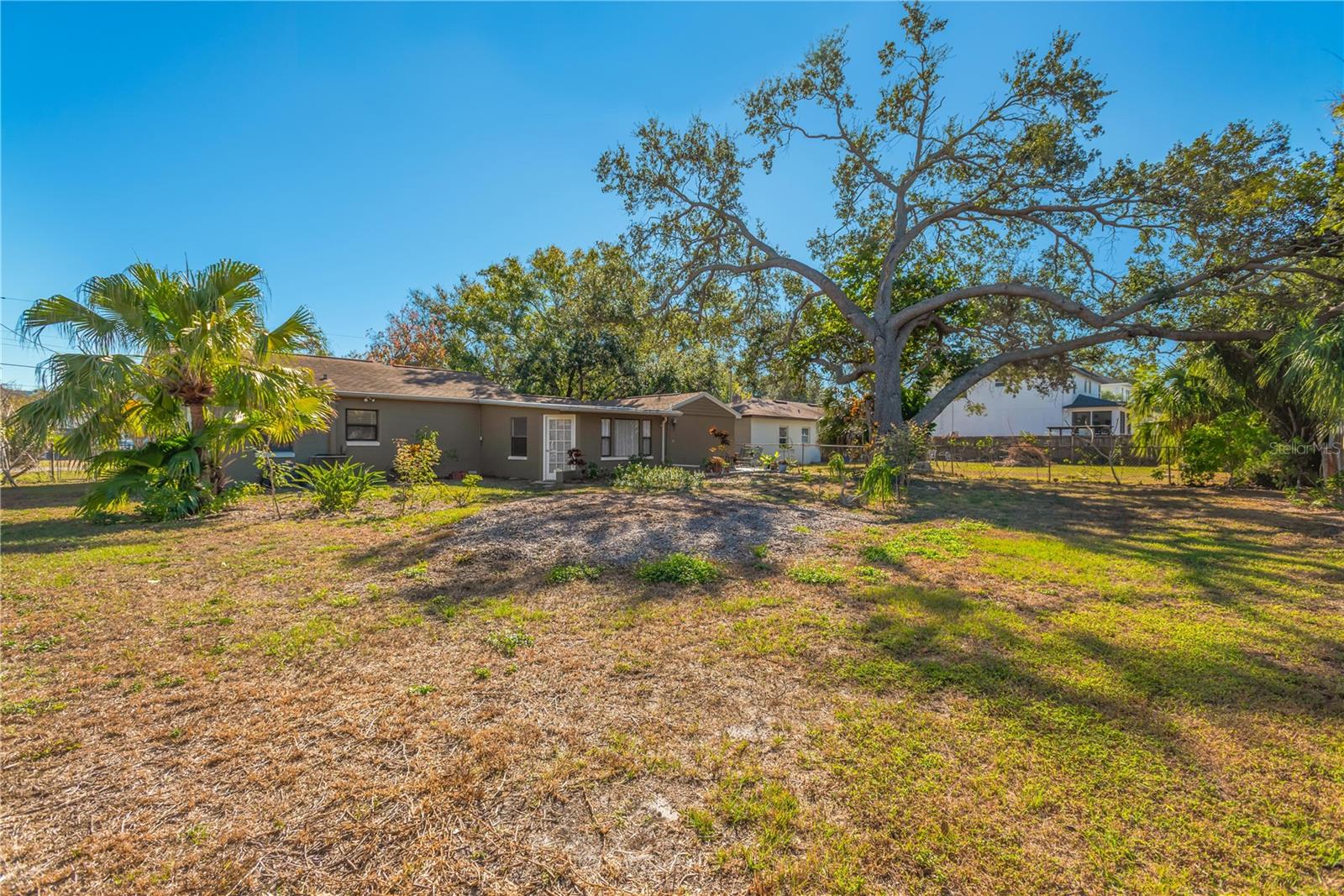 Live Well In South Tampa!