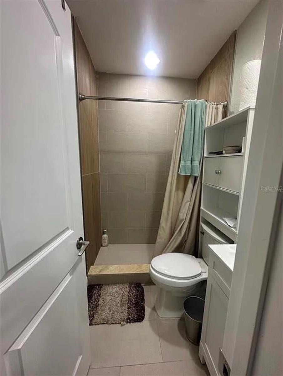 Mother in-law suite bathroom