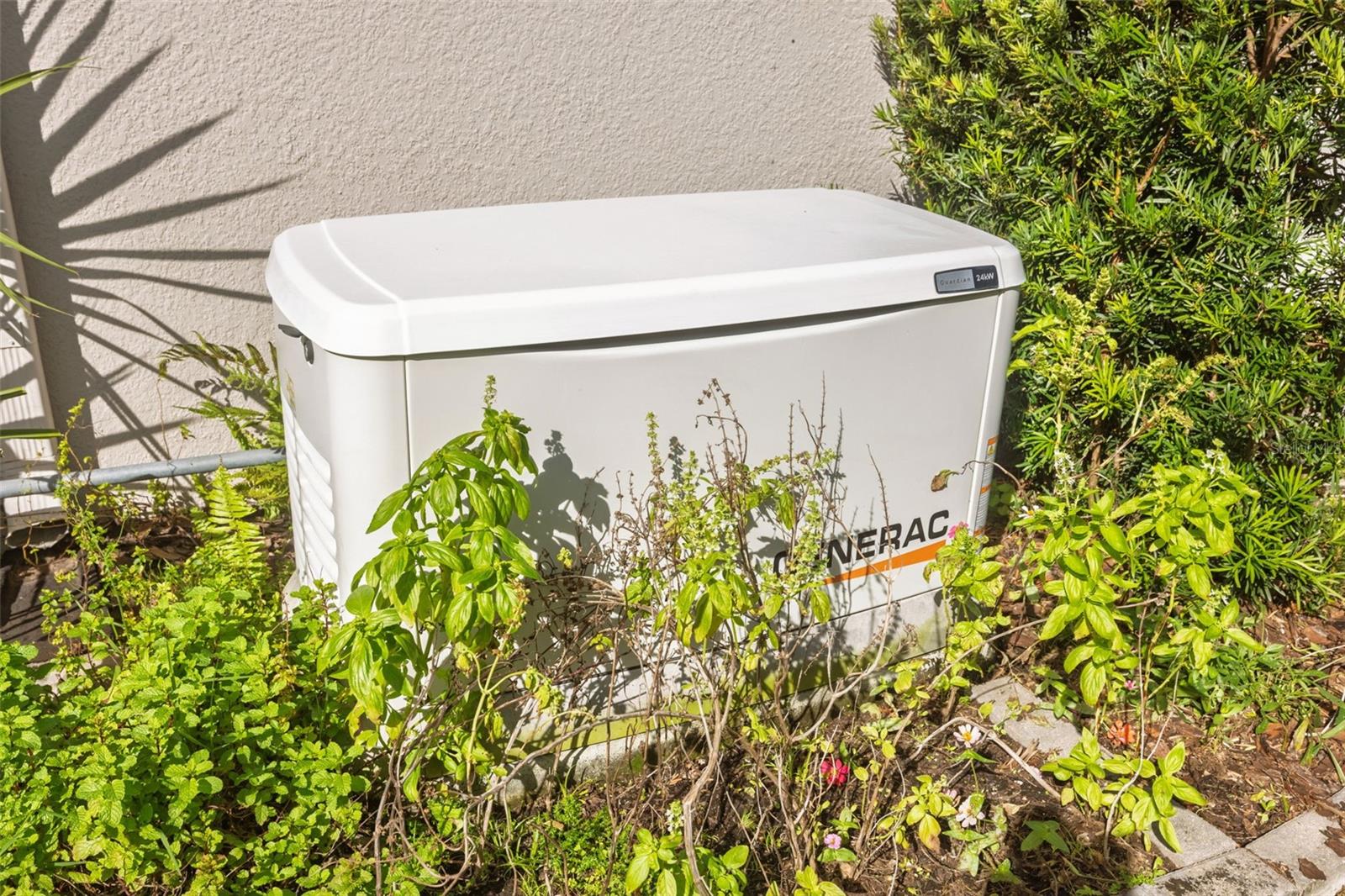 Whole House Generac Generator