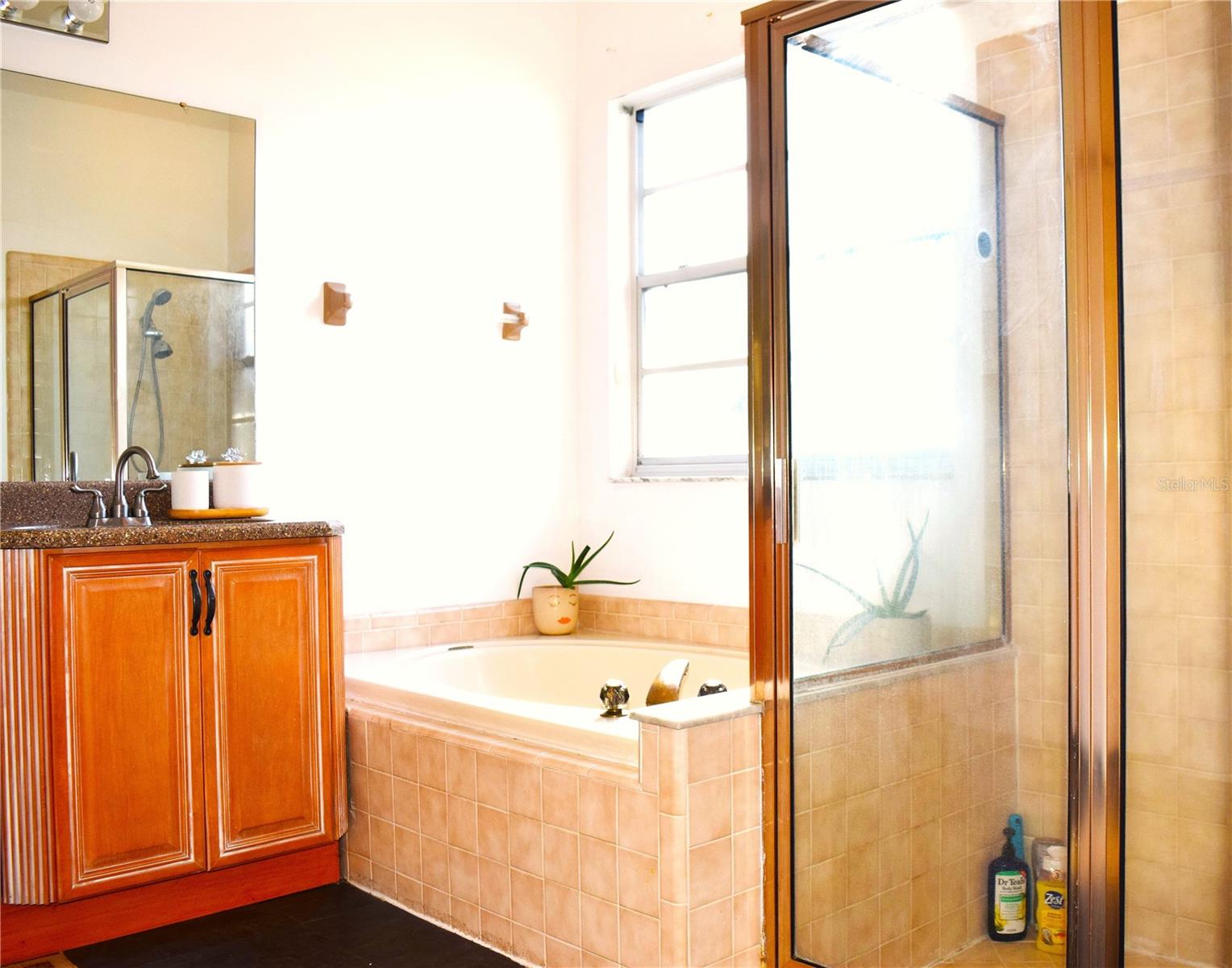 Primary bathroom tub and shower