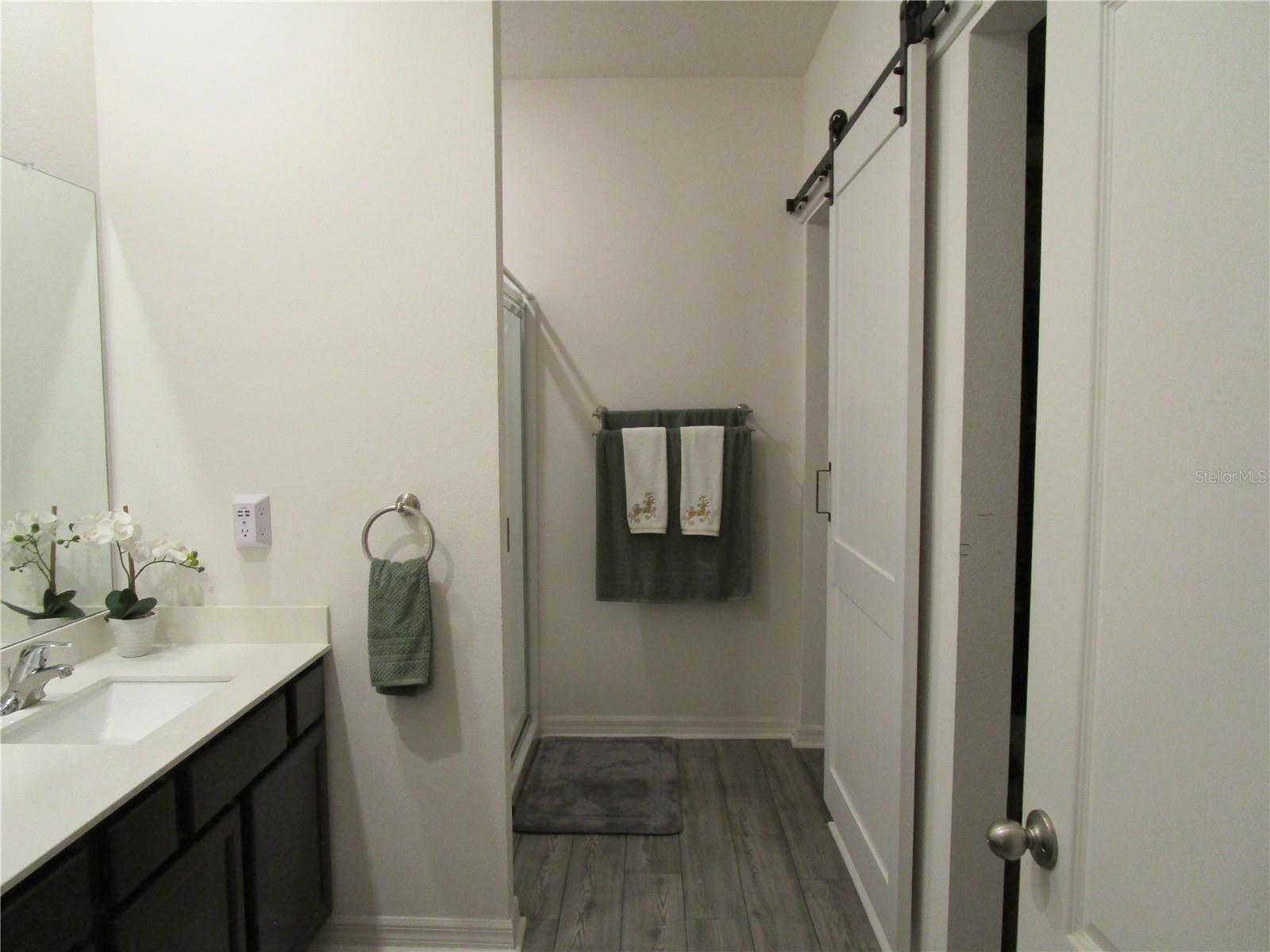 Primary Suite Bathroom