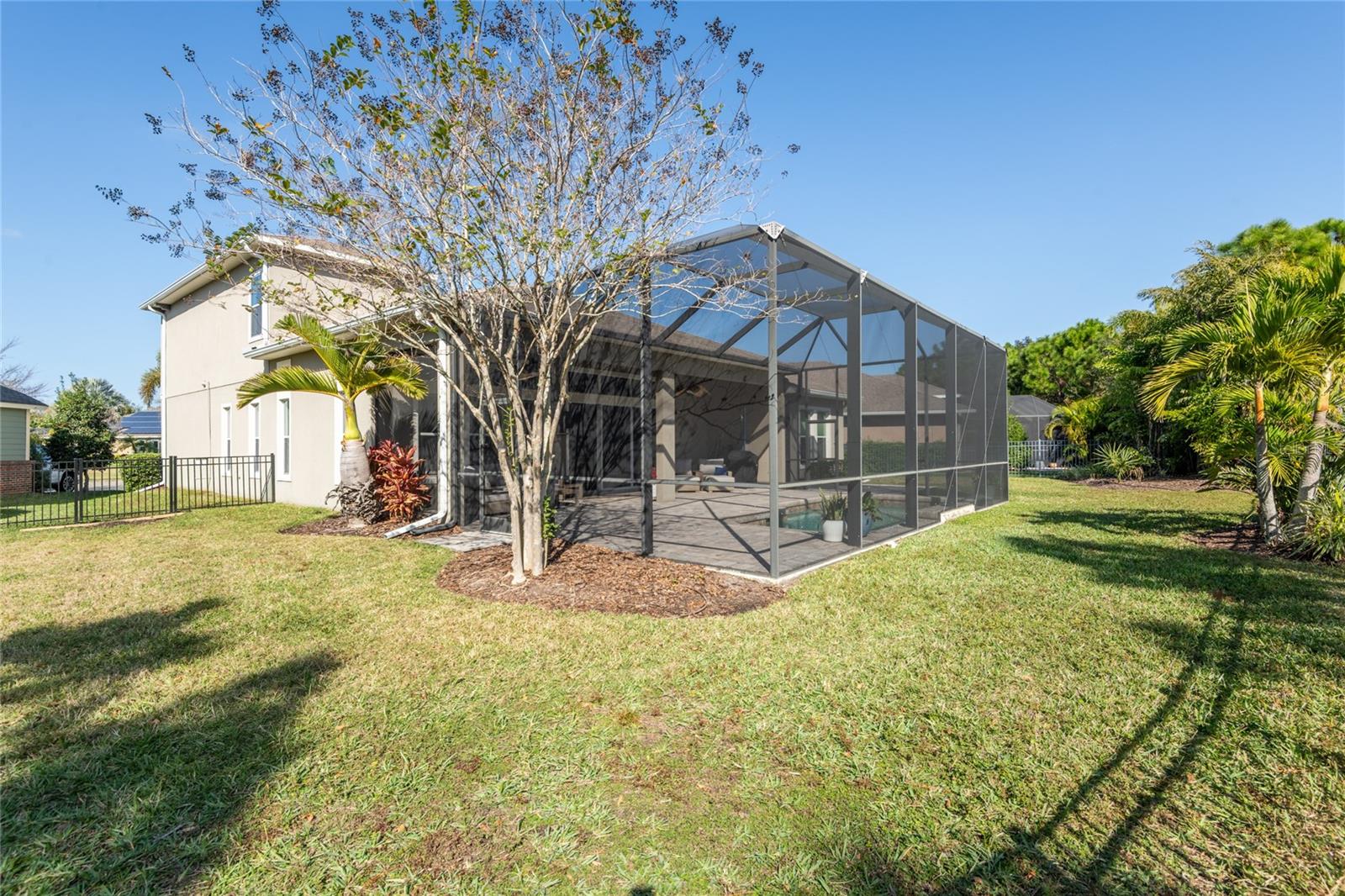 Backyard fully fenced