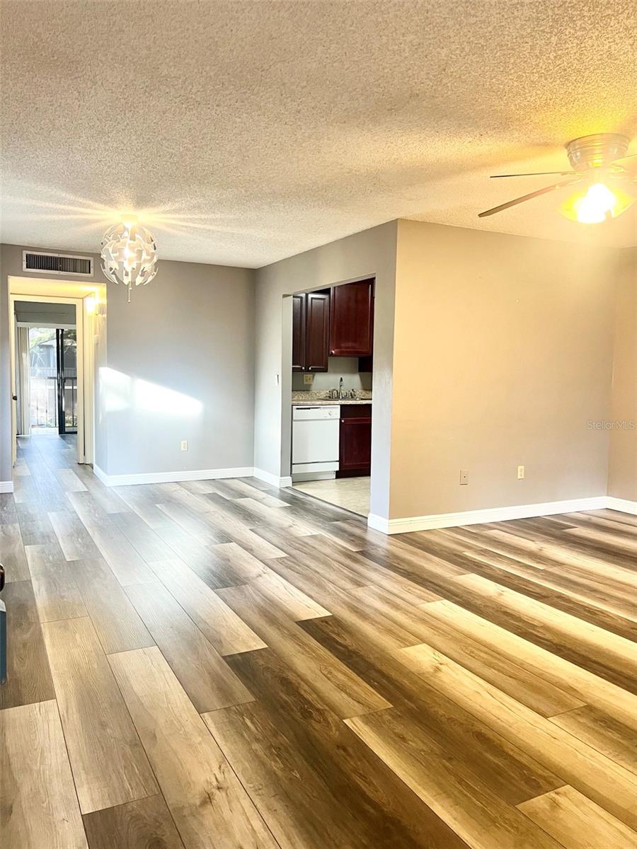 Entry Way into Living Room