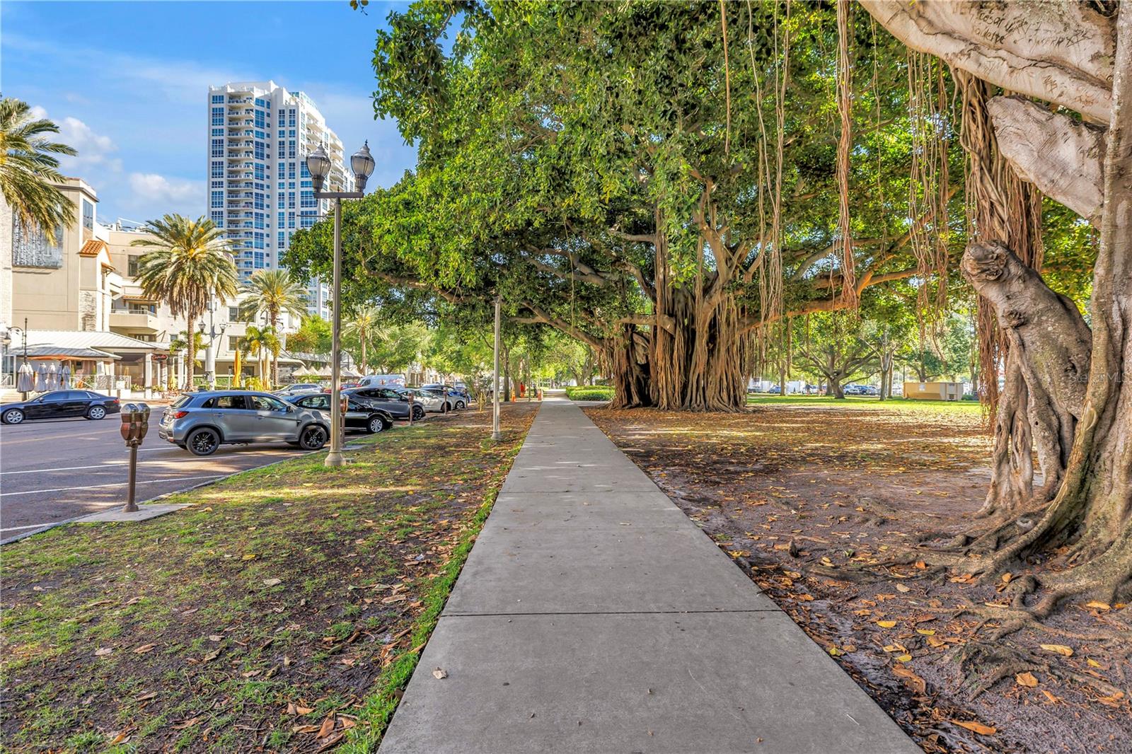 Breathtaking scenery in North Straub Park