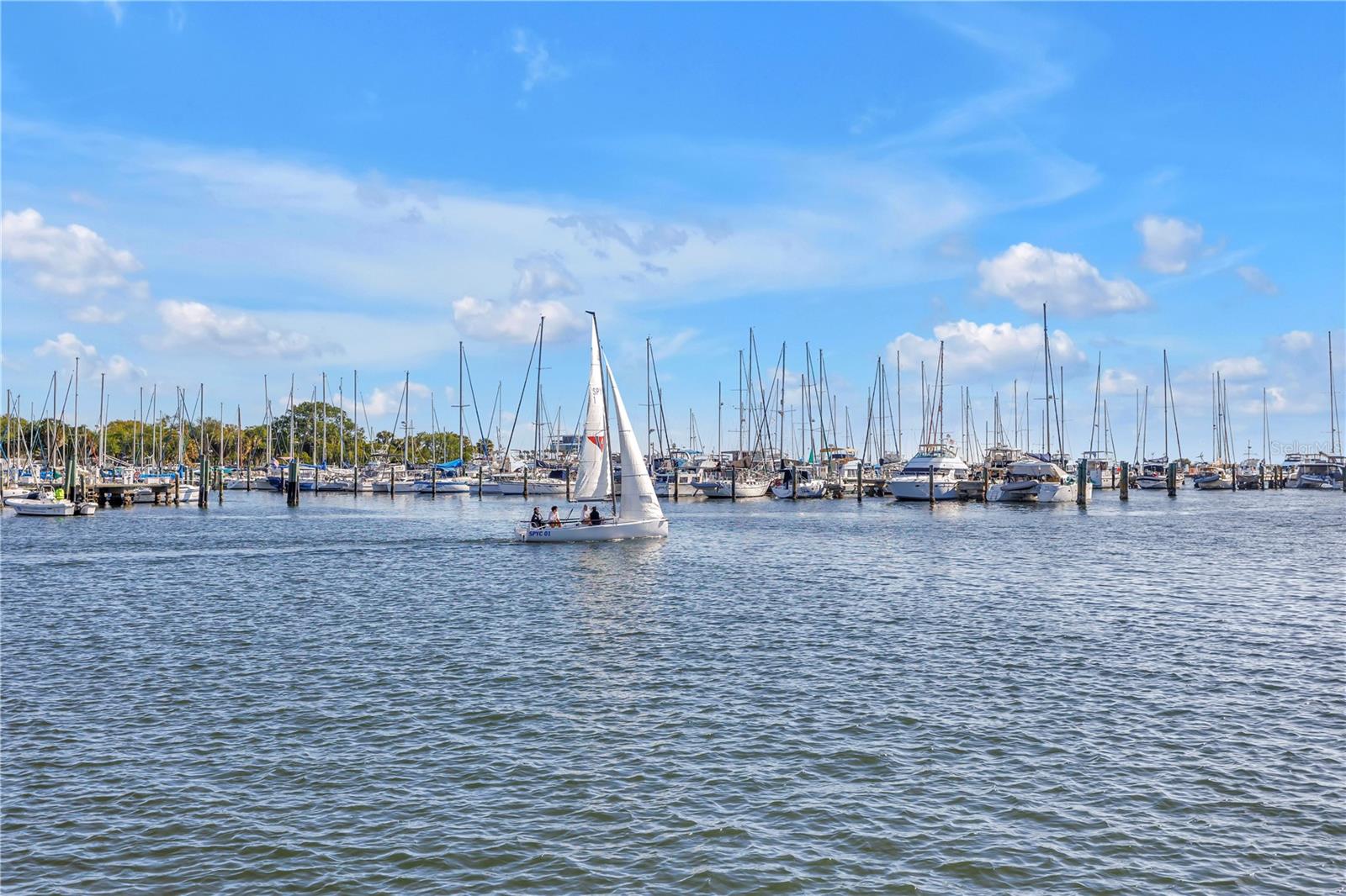 Watch the sailboats glide by