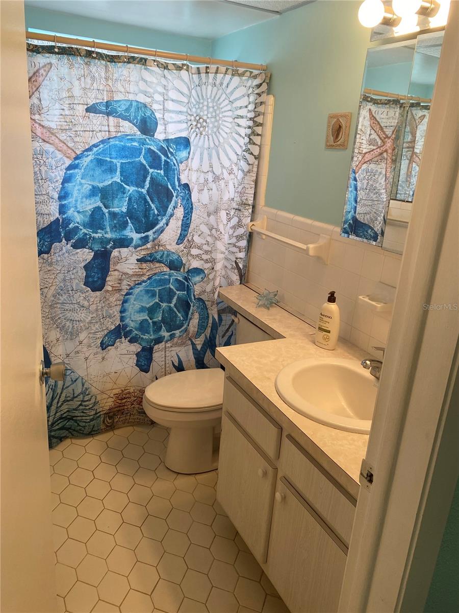 HALLWAY BATHROOM