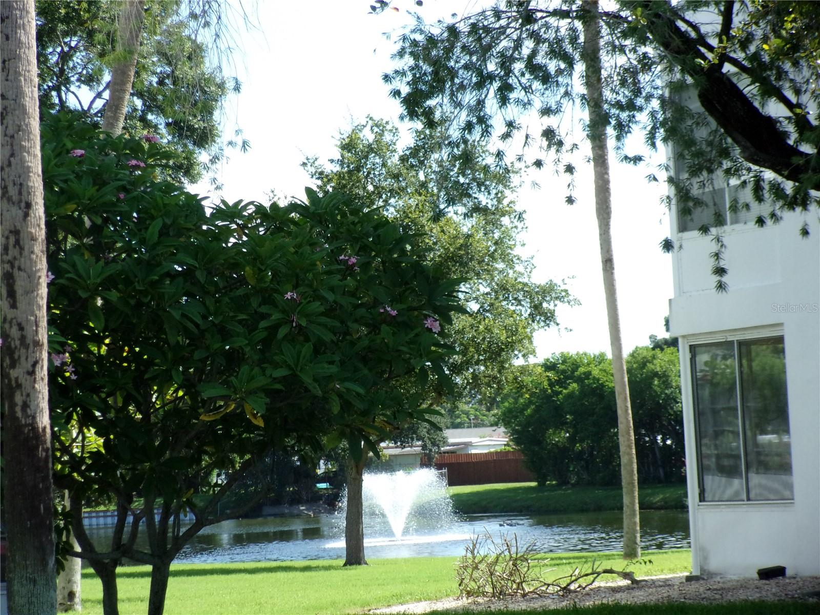 POND BEHIND UNIT BLDG 21