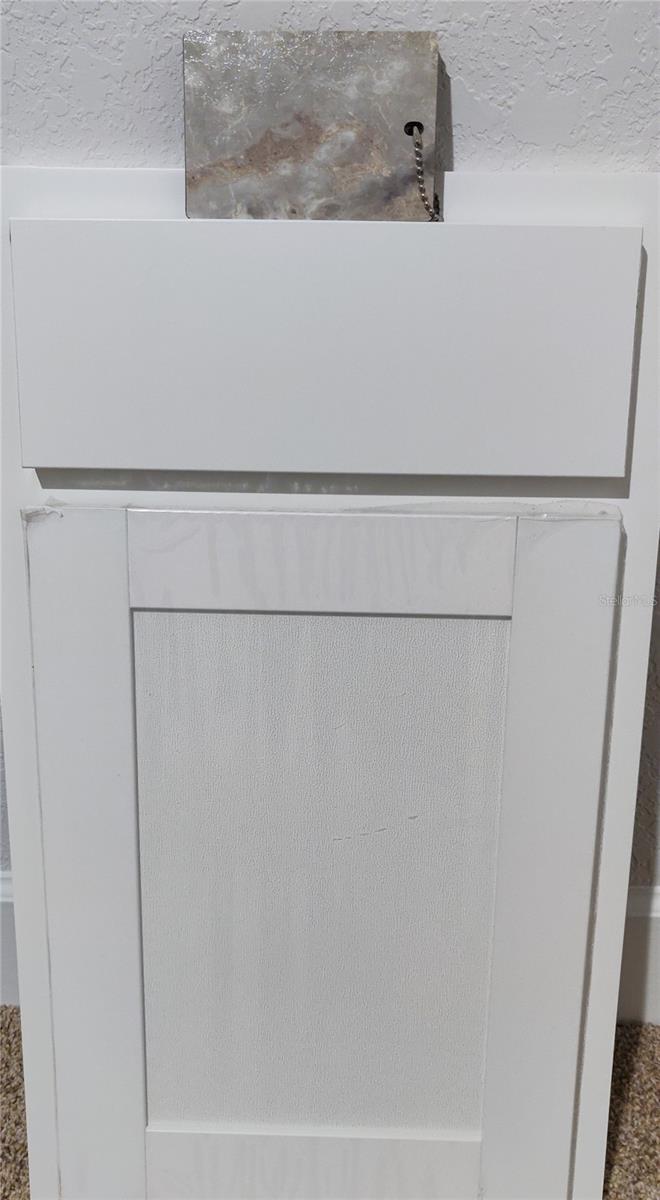 Cabinet and Counter Top