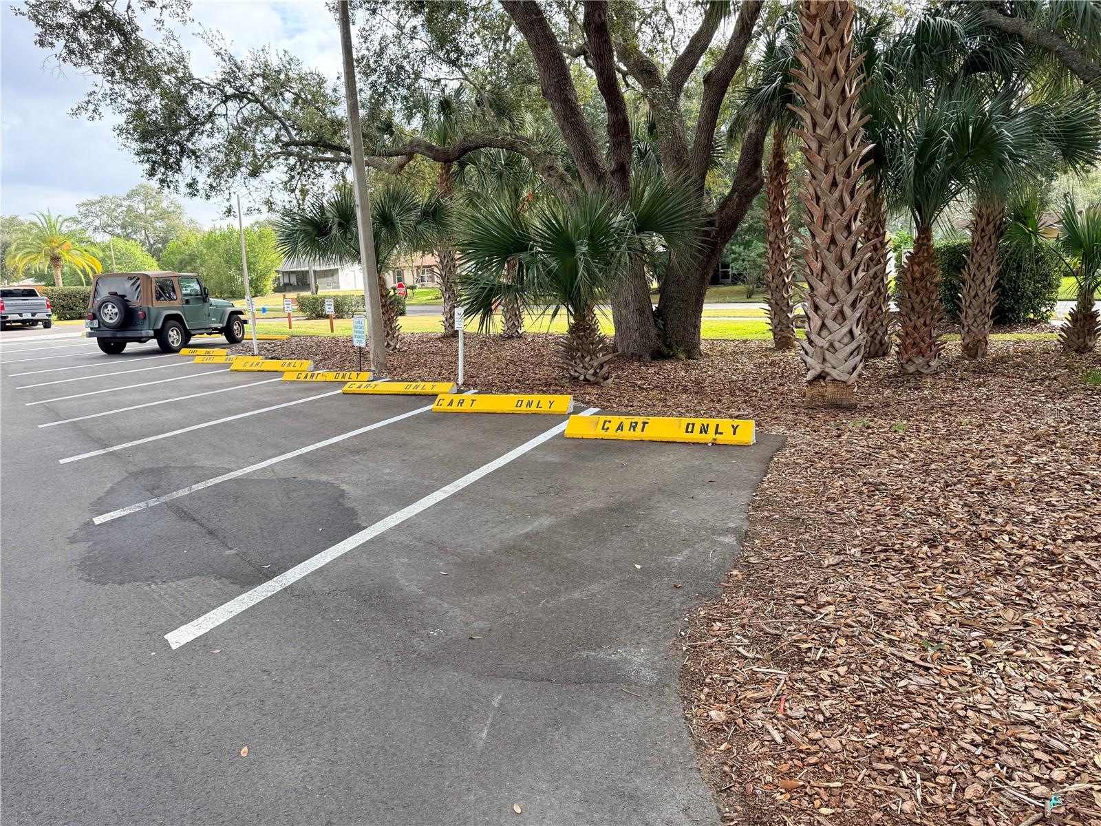 parking for golf cards